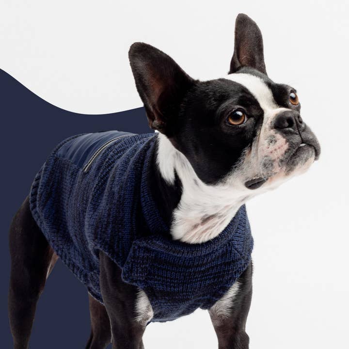 Mia Dog Sweater – Cozy Blue Knit Pullover with Poop Bag Dispenser for wholesale by Dollar Paw