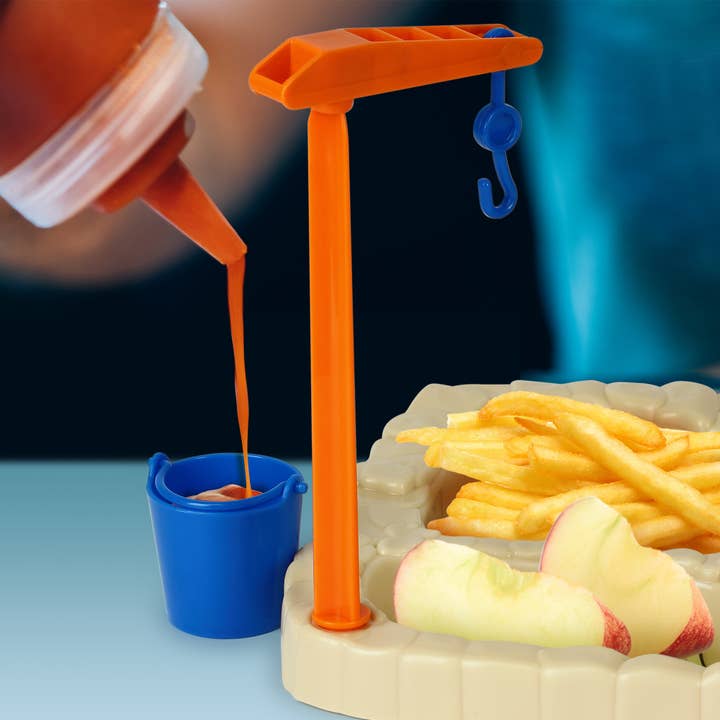 Funwares - Wholesale Dinner Plate - Kids & Baby - Jurassic Excavation Plate – Dinosaur Kids Dinnerware Gift5