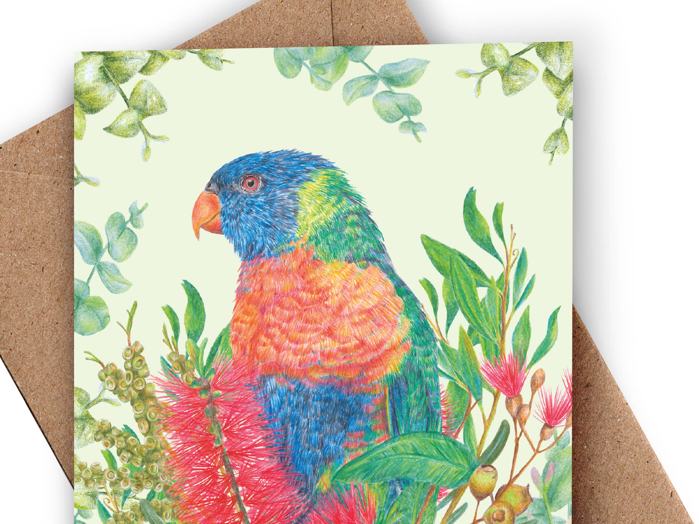 Kayla Reay Design - Wholesale Everyday Greeting Card - Rainbow Lorikeet Greeting Card - Australian Bird Art4
