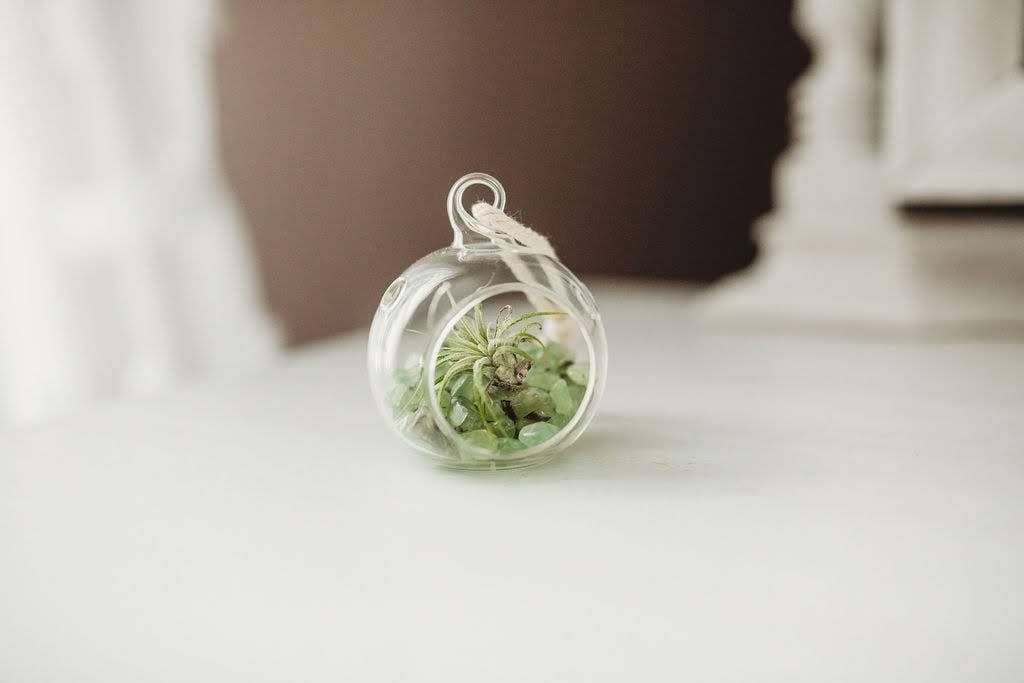 The Simply Crafty Shop - Wholesale Terrarium - Mini Orb Air Plant Terrarium Kit - Semi-Precious Stone48