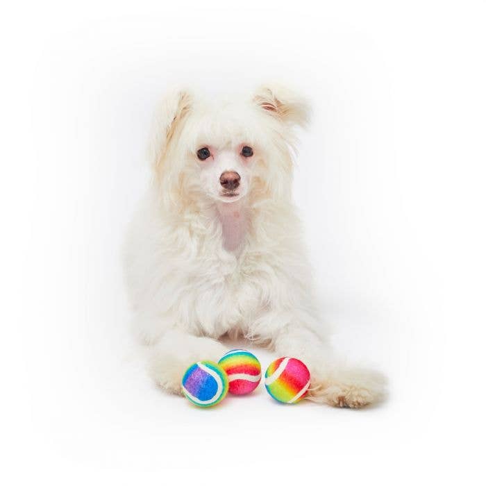 PetLondon - Wholesale Pet Fetch Ball - Dog - Rainbow Dog Tennis Balls4