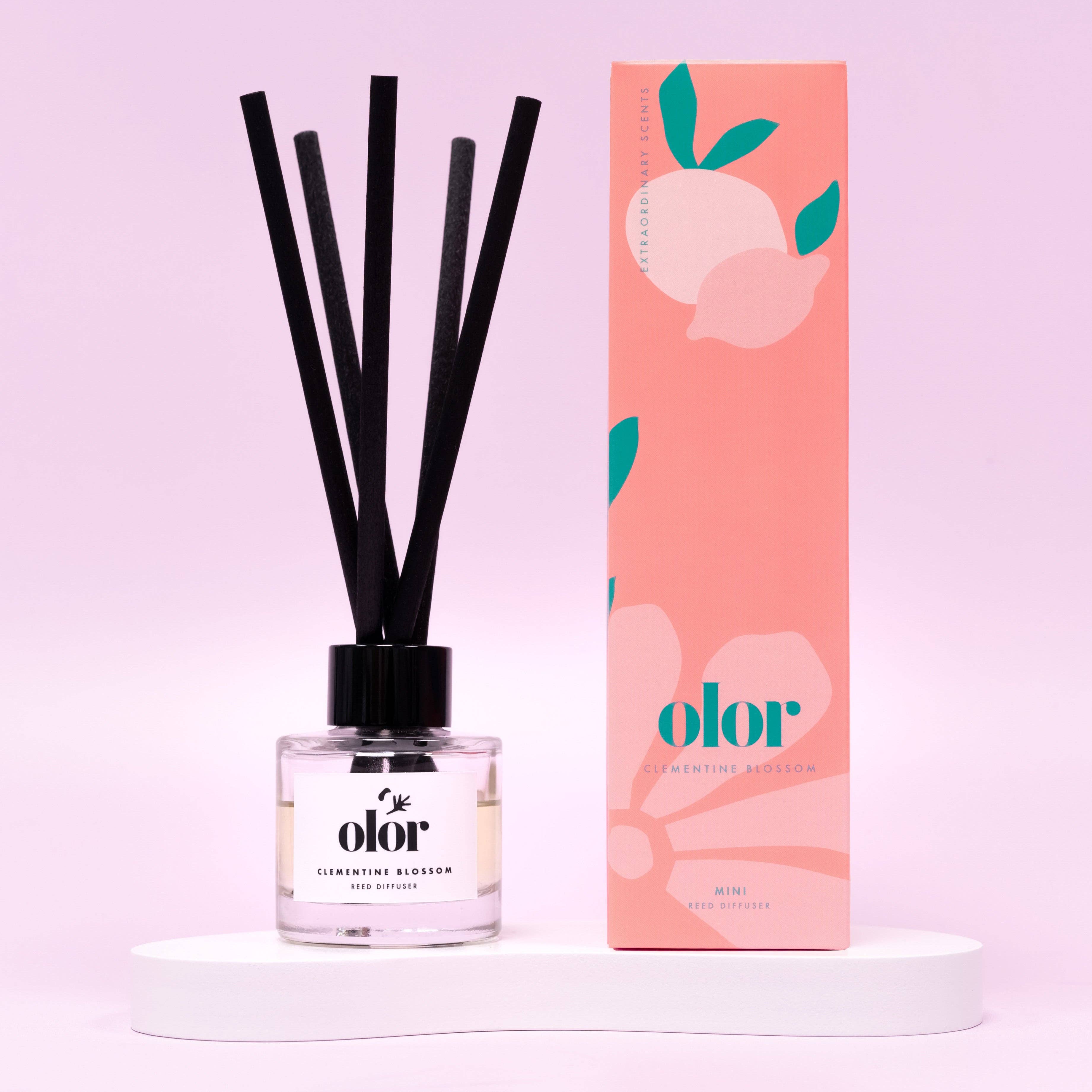 OLOR – Großhandel Reed-Diffusor – Clementine Blossom Mini-Raumduft-Diffuser0