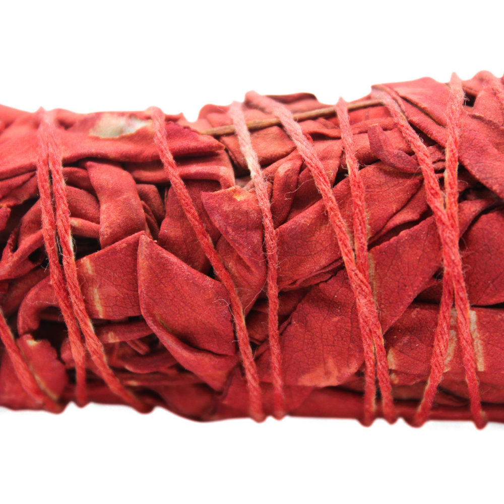 Green Tree - Wholesale Sage Bundle - Dragon's Blood Sage 10 Cm1