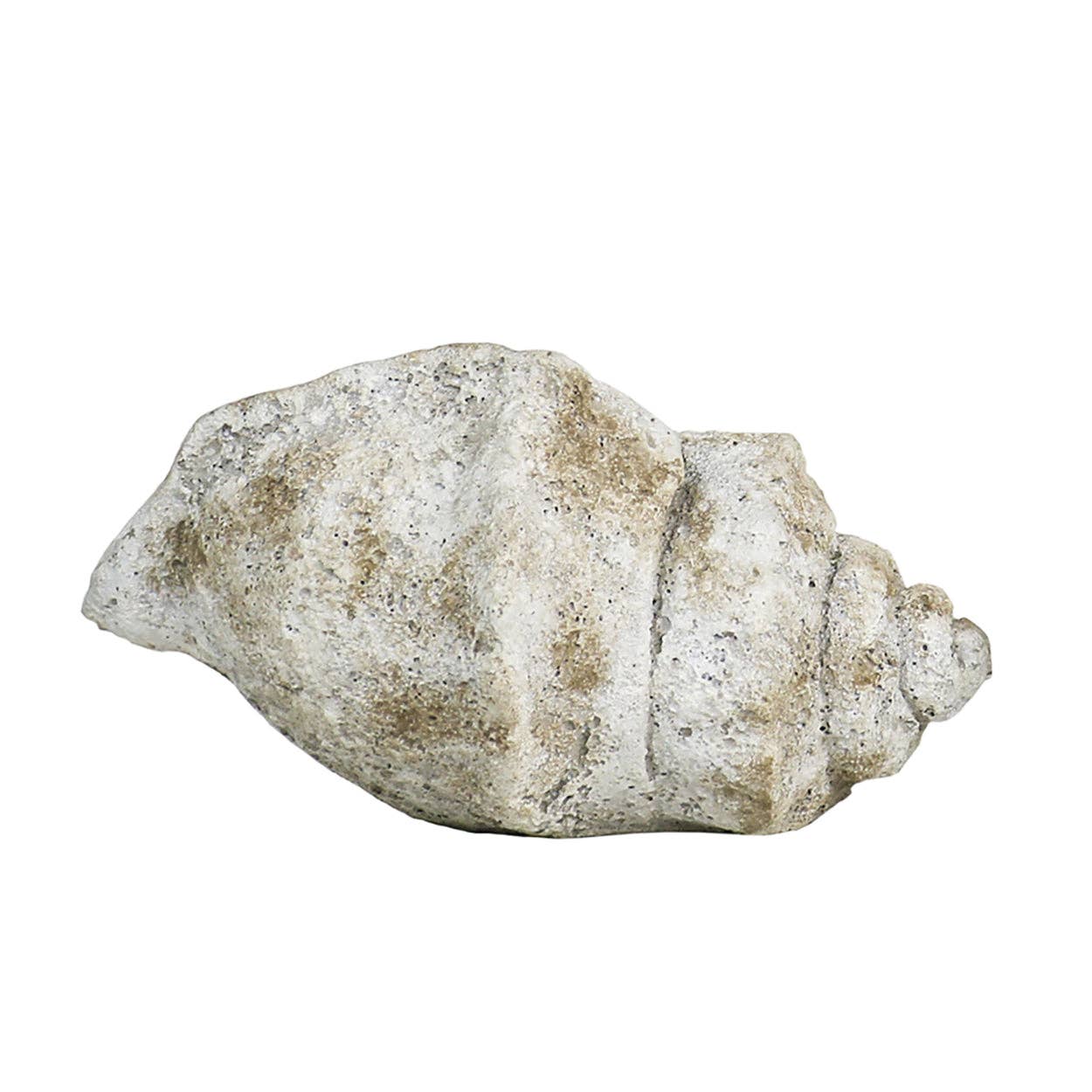 Blue Ocean Traders - Wholesale Decorative Tabletop Object - Cast Concrete Conch Shell2