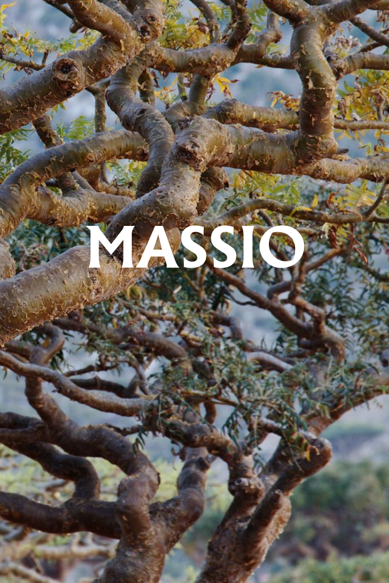 Massio Concept - Wholesale Kamer- en linnenspray - Kamer- en Linnenverstuiver Boswellia Sacra (100 ml)2