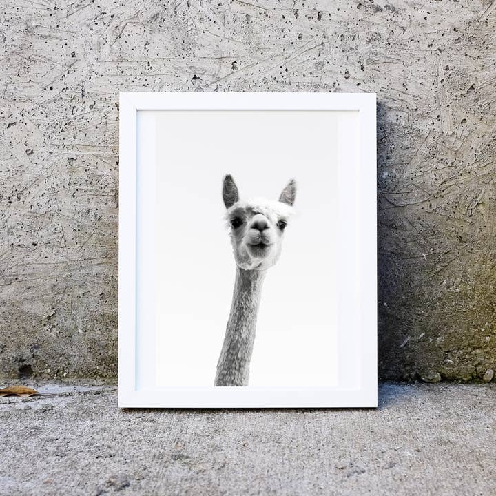 Gerahmter minimalistischer Lama-Fotodruck für den Großhandel von Lelloliving