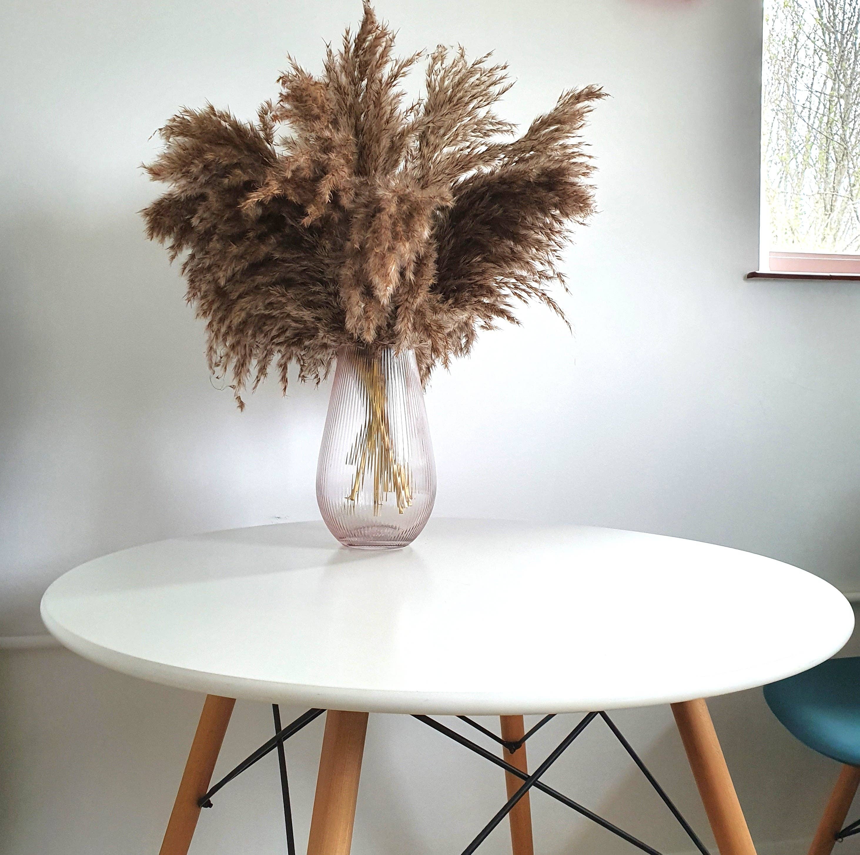 Opal Lily - Wholesale Dried/Pressed Flowers - Wild Fluffy Pampas - Brown6