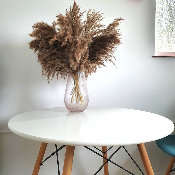 Opal Lily - Wholesale Dried/Pressed Flowers - Wild Fluffy Pampas - Brown6