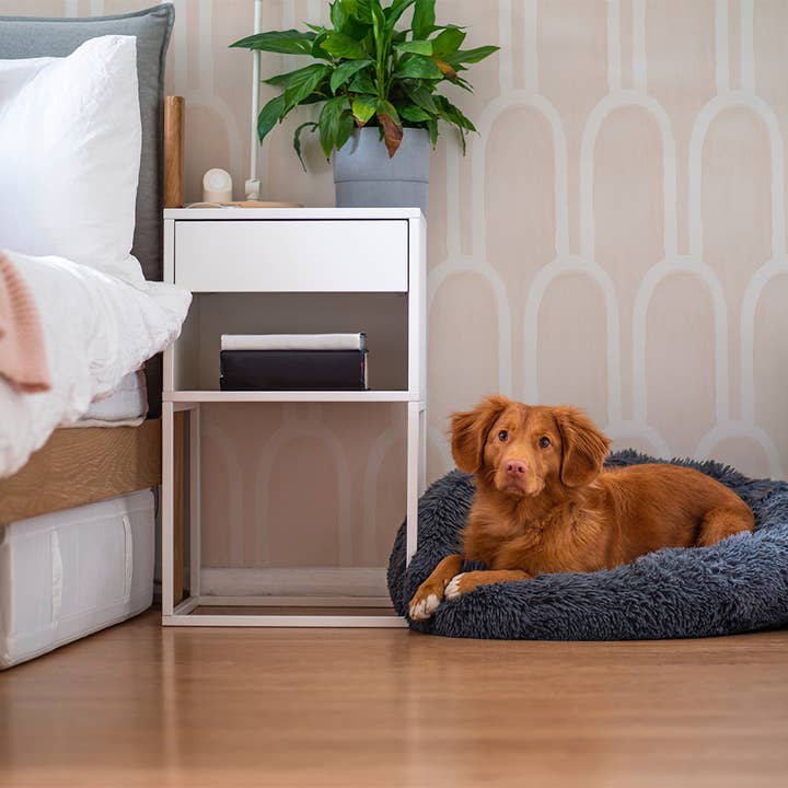 Tempaper & Co ® – Engroshandel Tapetrulle – Dronning Emma Lopen Skræl og pind tapet, 56 kvm. ft.2