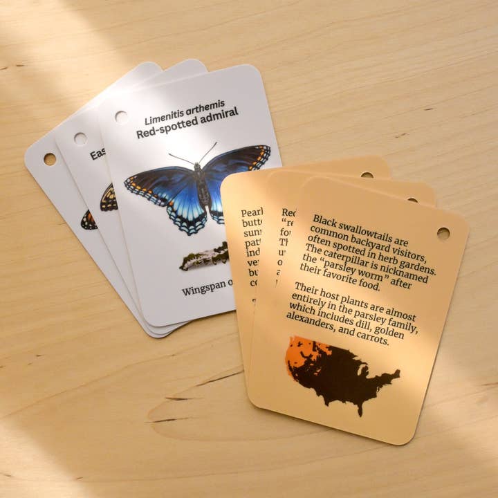 weneedtogooutside - Wholesale Nature & Outdoors Book - Butterflies of Eastern USA Field Guide Cards2