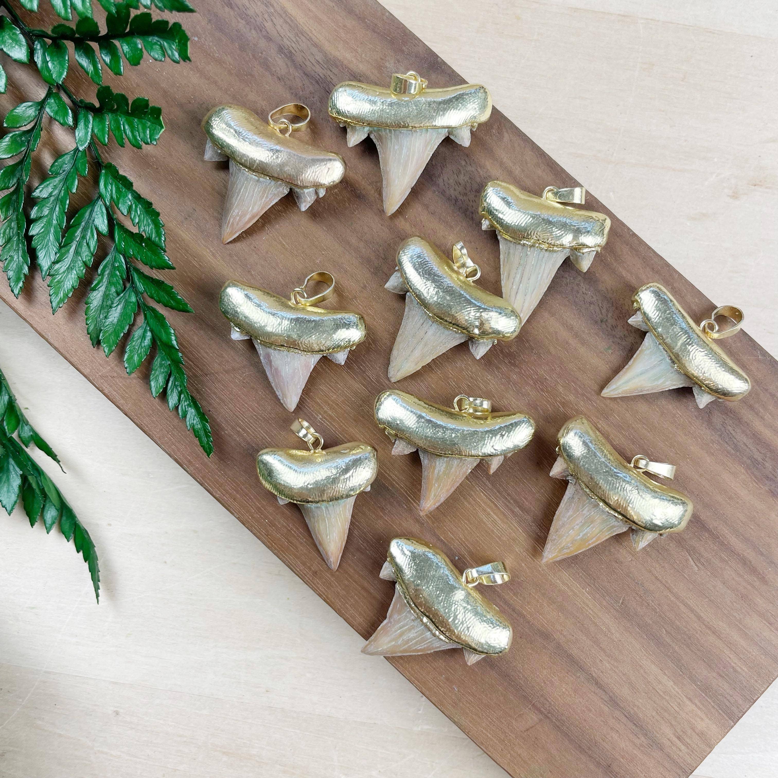 Ewelina Pas Jewelry – Engroshandel Halskæde med vedhæng – Halskæde med guldbelagt hajtand6