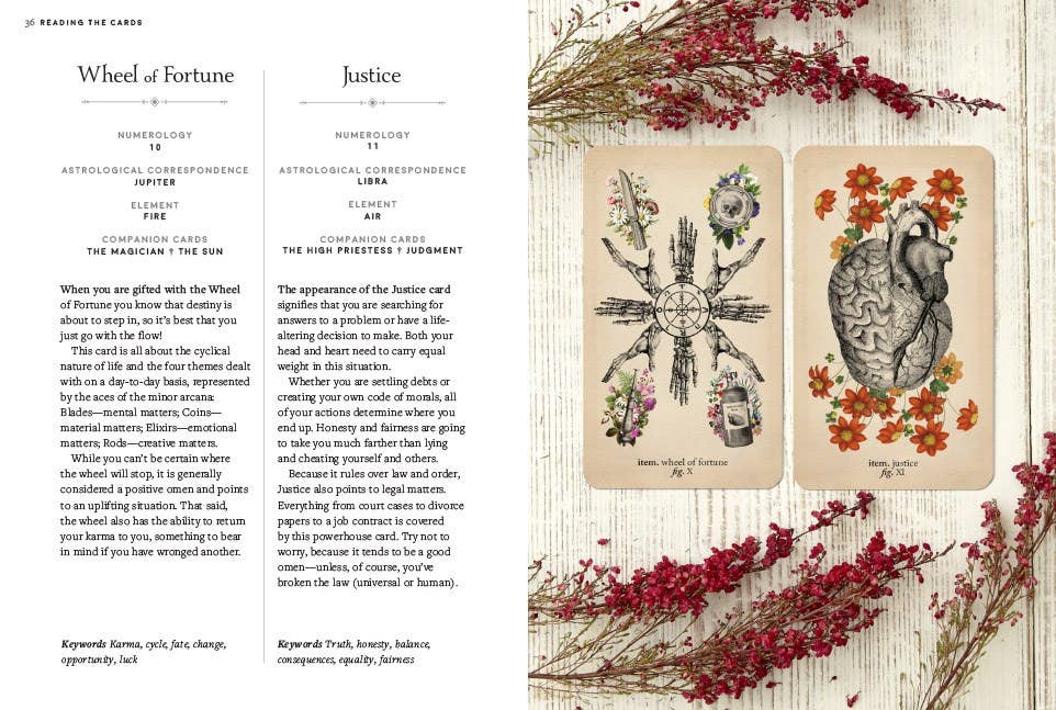 Abrams - Vente Cartes de tarot - Kit de tarot d'anatomie antique3