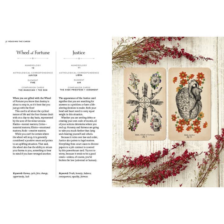 Abrams - Wholesale Tarot Cards - Antique Anatomy Tarot Kit3