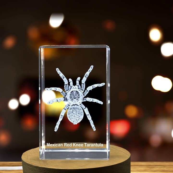 AB Crystal Collection – Objeto de mesa decorativo por atacado – Deslumbrante Escultura de Cristal de uma Tarântula de Joelho Vermelho Mexicana | Arte Decorativa de Aranha 3D