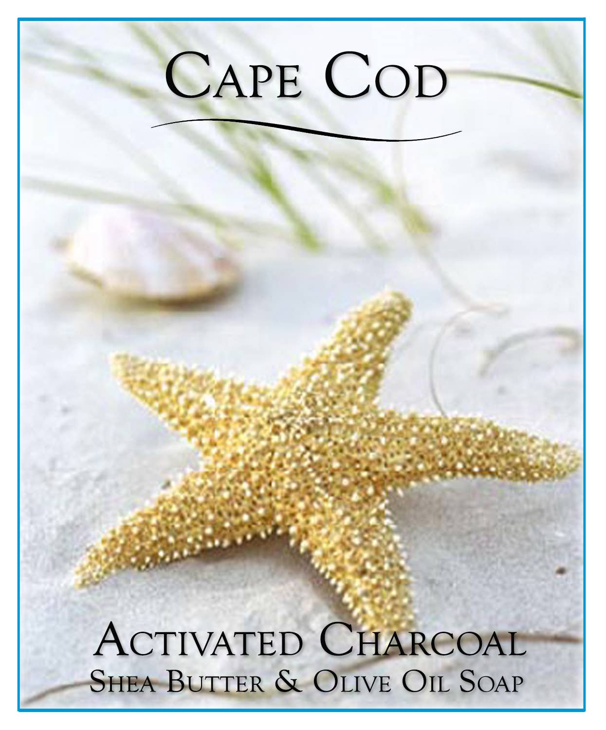 Ipswich Bay Soap - Wholesale Bar Soap - Activated Charcoal0