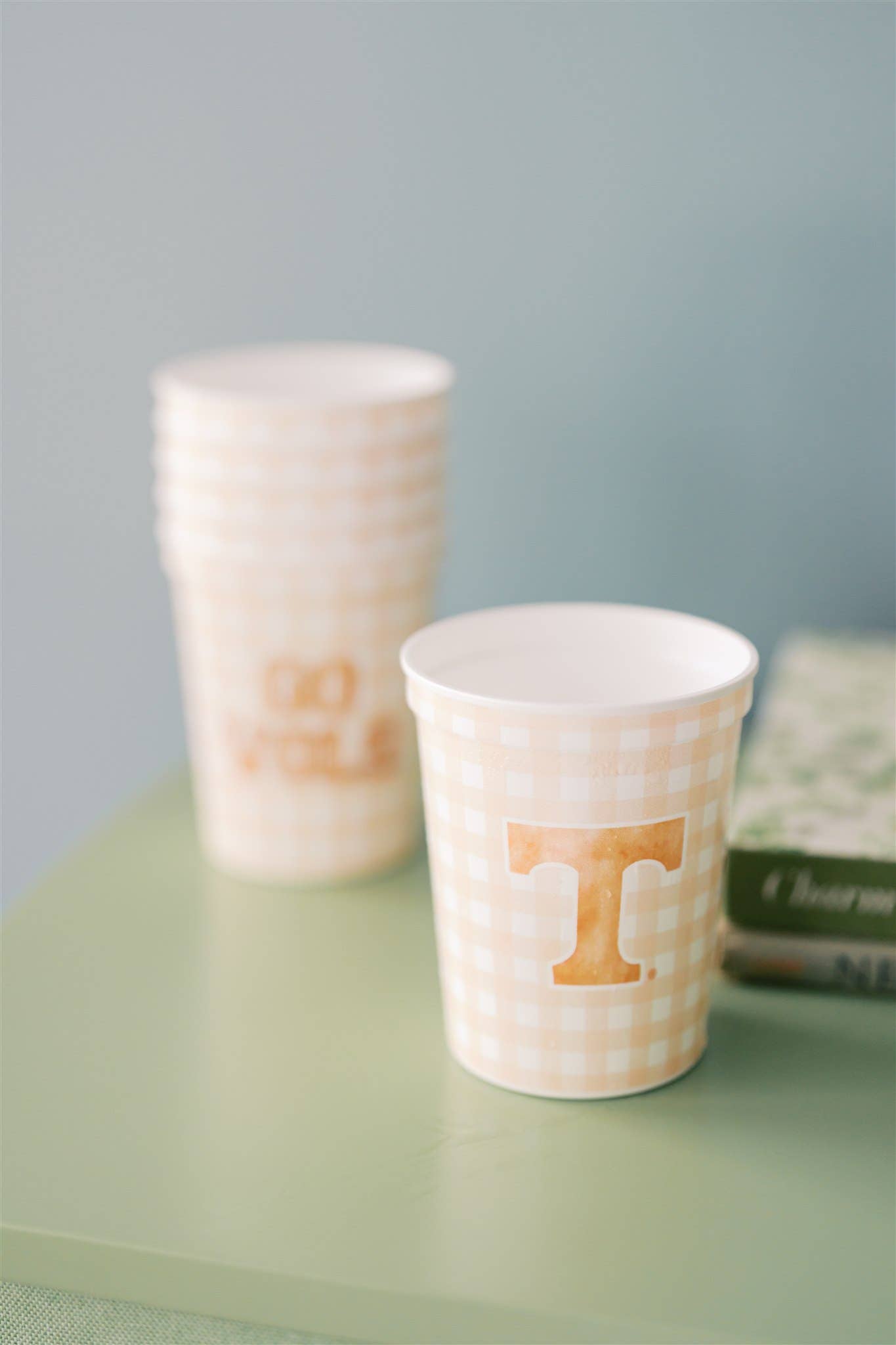 Gracefully Made Art - Vente Gobelets jetables - Ensemble de gobelets du stade Tennessee "Go Vols"3