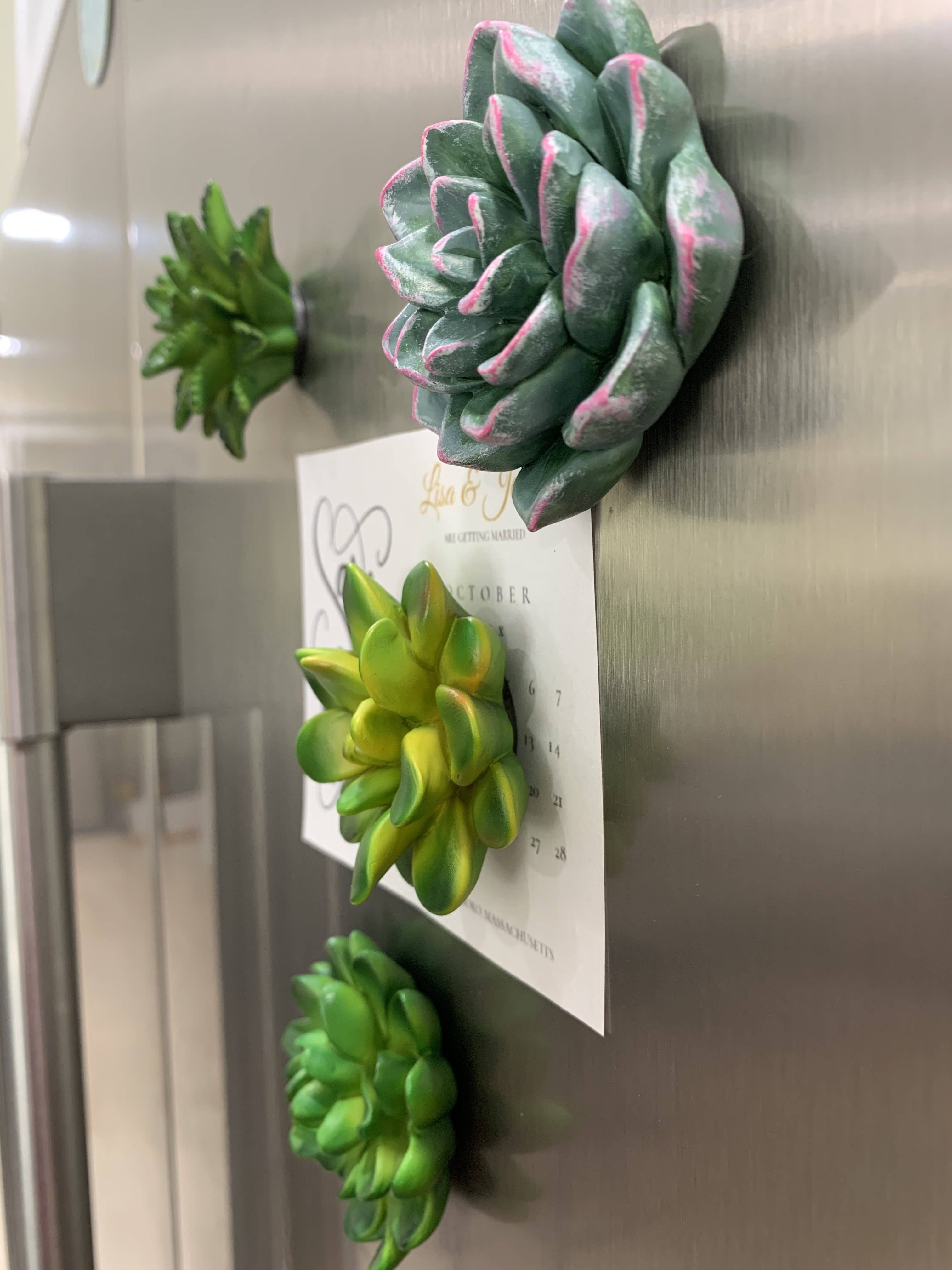Woodbe Co - Wholesale Magnet - Mini 3D Succulent Resin Magnets10