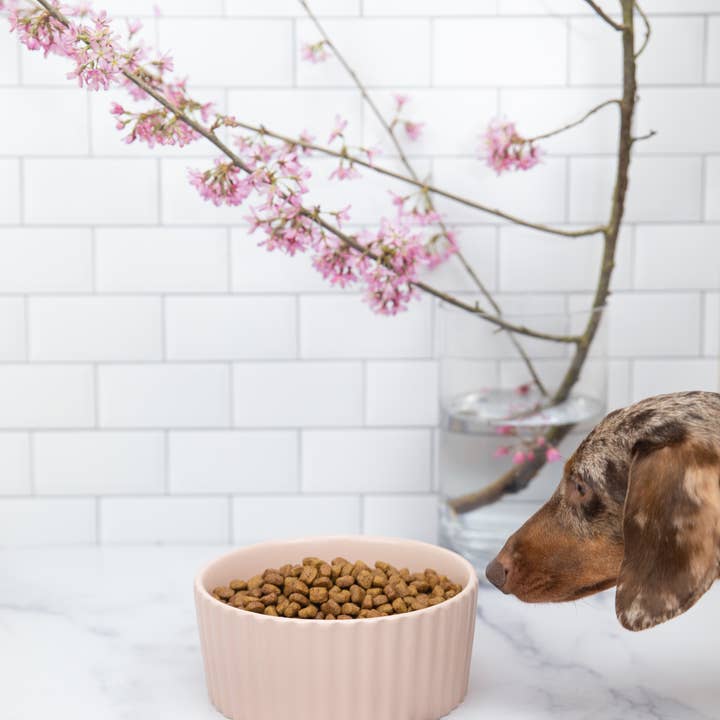 Waggo – wholesale Husdjursskål - Katt och hund – Ripple matskål för hund7