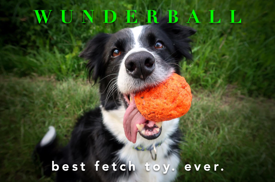 Multi DISPLAY 36 - BEST FETCH TOY! WUNDERBALL with 36 balls for wholesale on Faire3