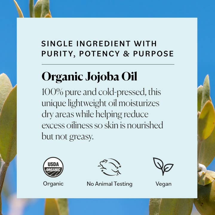 Sky Organics - Wholesale Bath/Body Oil - Organic Jojoba Oil