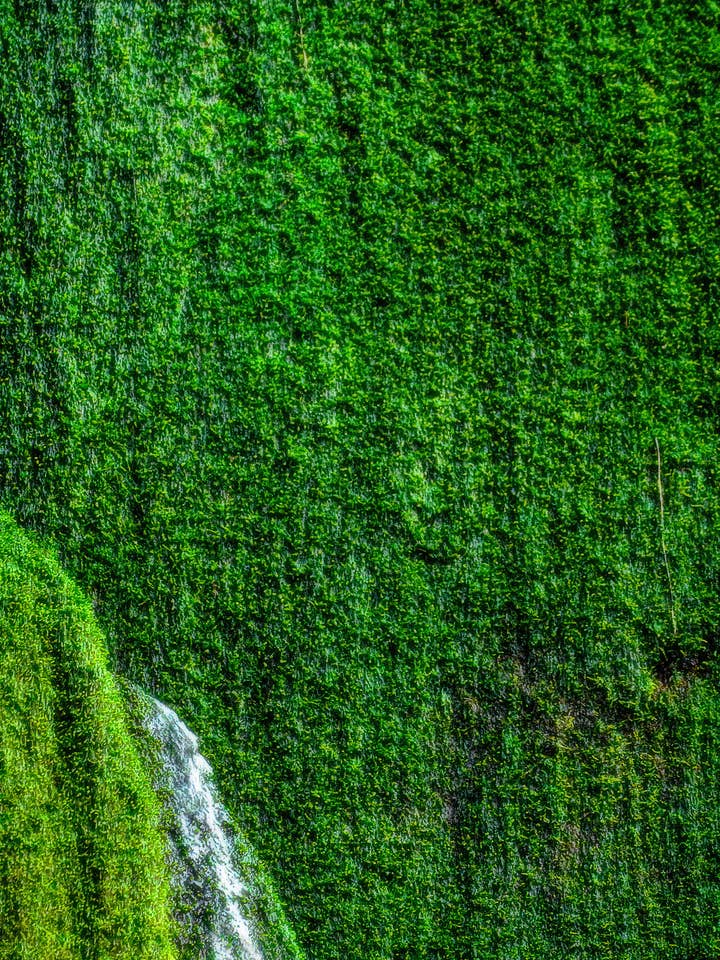 Nature Minimalist Prints - Set 03 (10 Pack) for wholesale by EigenVision