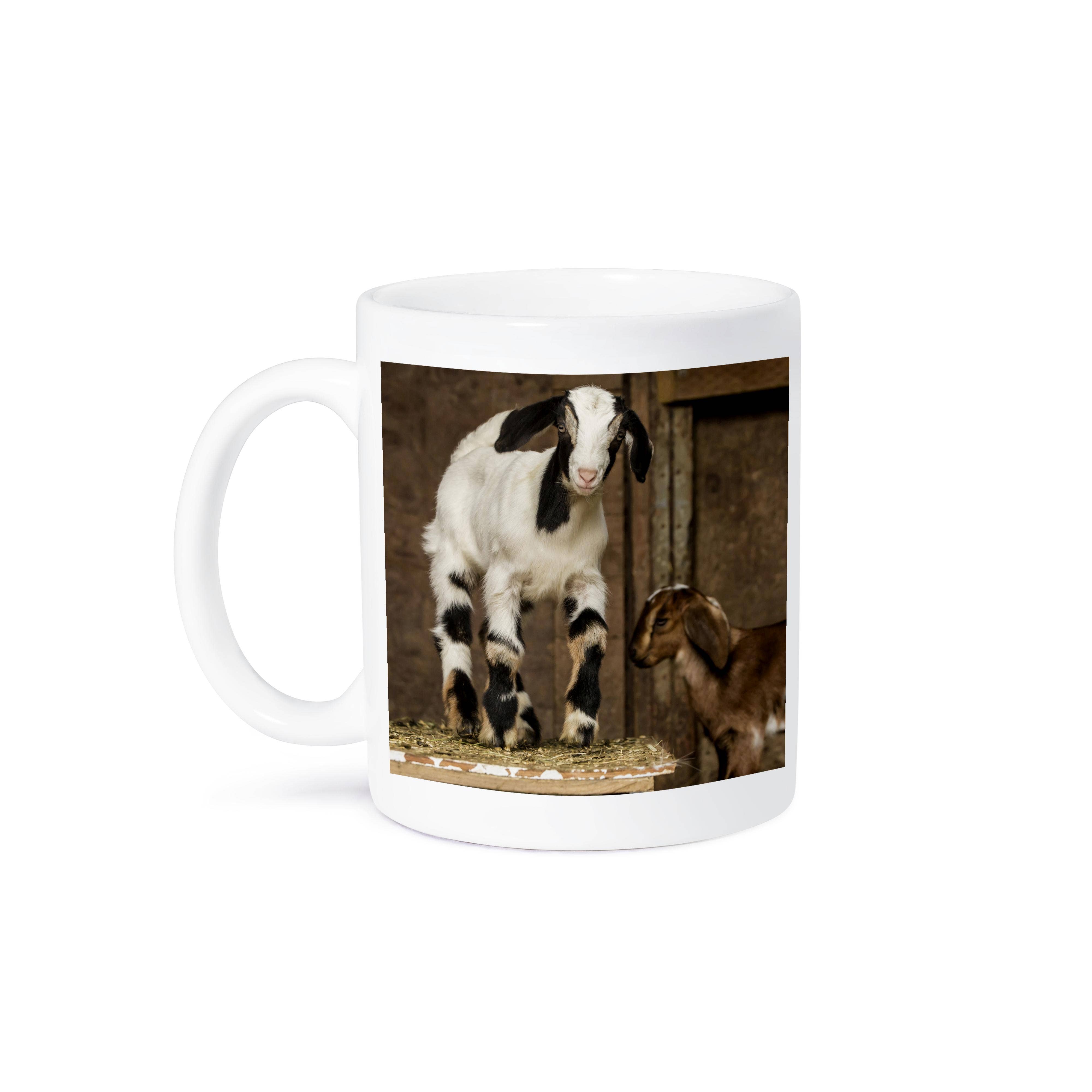 3dRose - Wholesale Coffee Mug - 3dRose, Two 12 day old mixed breed Nubian and Boer goat kids posing., Mug8