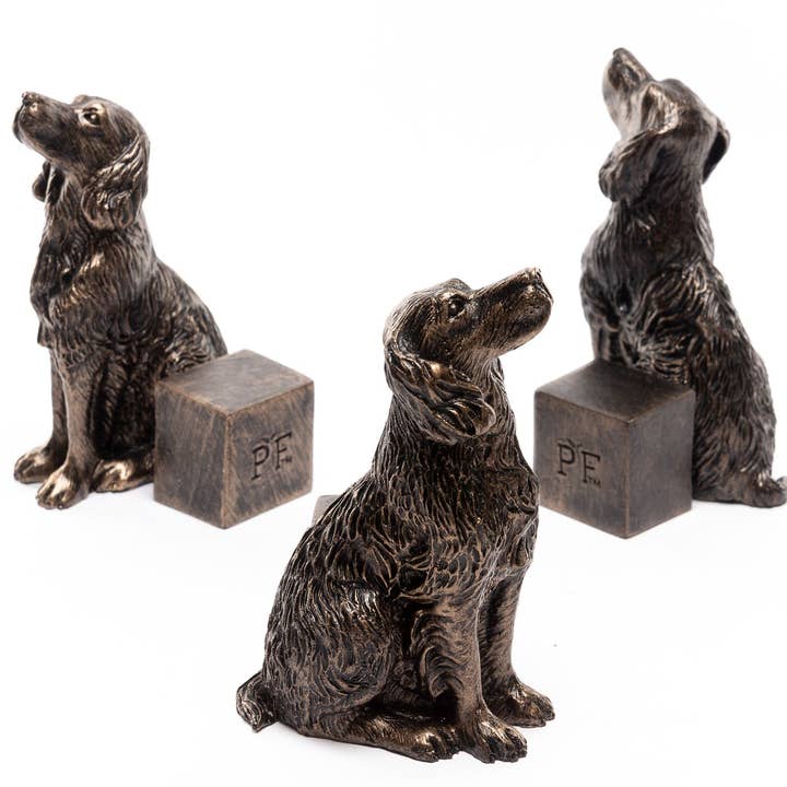 Jardinopia US - Wholesale Plant Pot - Springer Spaniel Plant Pot Feet - Set of 31