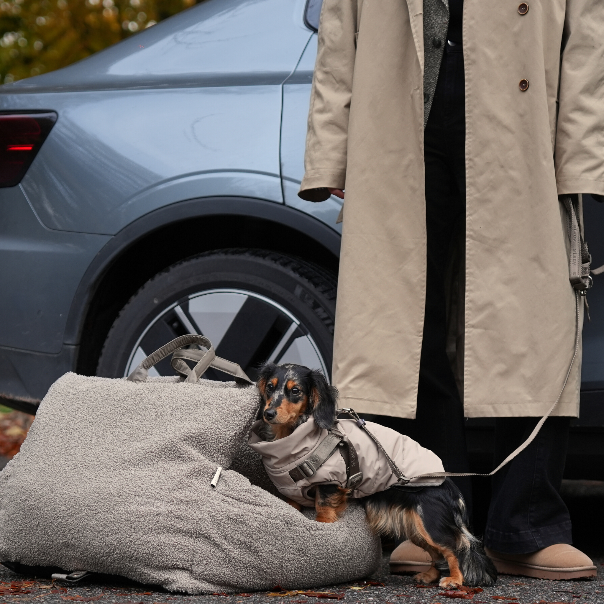 Staey – wholesale Pet coat – Dog – Vera Dog Coat with Harness | Sand6