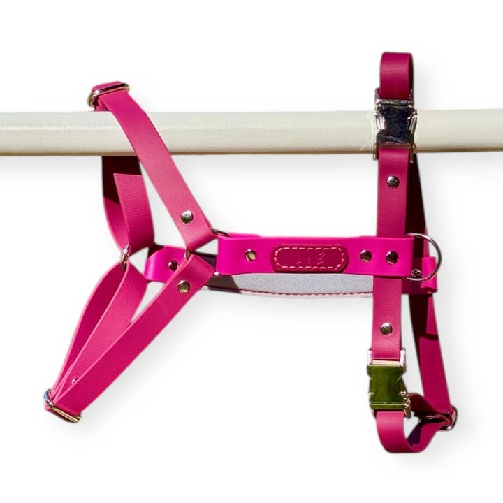 Hypoallergenisches wasserdichtes Geschirr BORDEAUX - Biothane® für den Großhandel von L&Z Dogwear