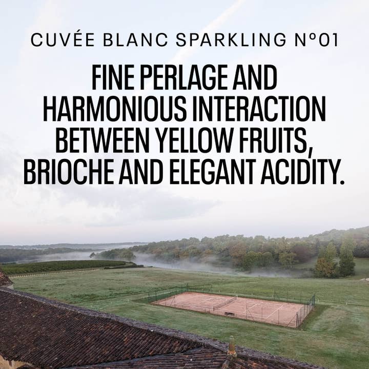 Zepeim - Wholesale Non-Alcoholic Spirits/Wine/Beer - Kolonne Null Cuvée N°01 Non-Alcoholic Sparkling Wine4