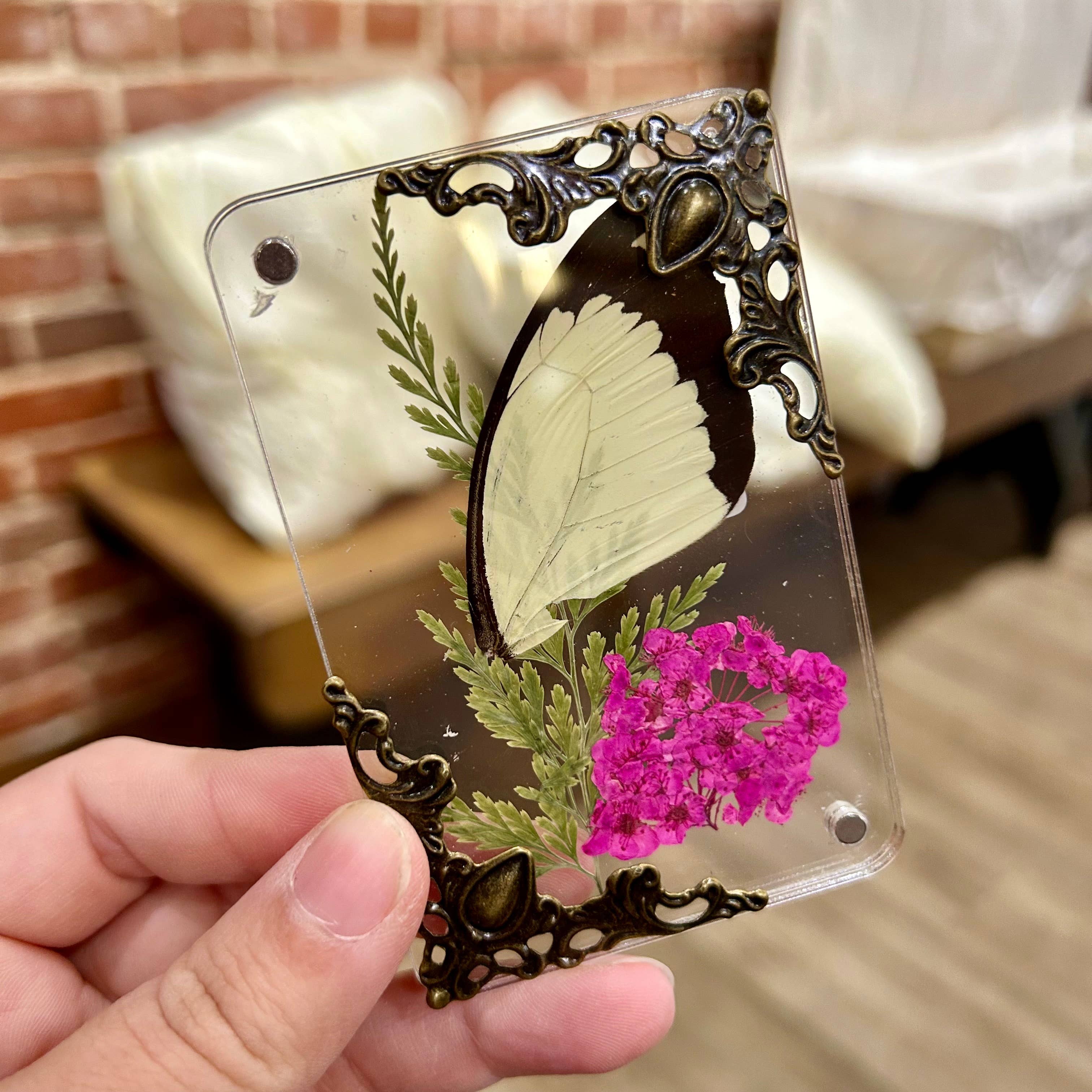 Mz. Jones’ Curio, Inc. - Wholesale Magnet - Butterfly Wing Magnets3