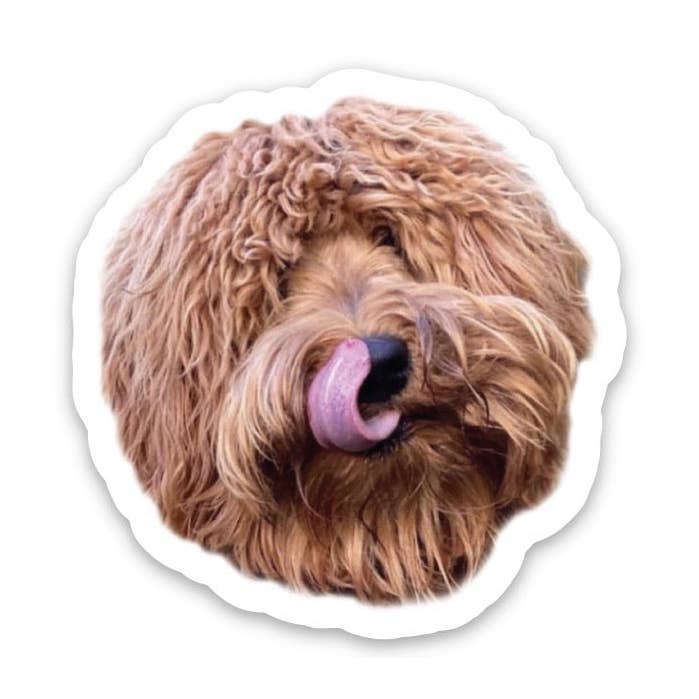 BENUTZERDEFINIERTE FOTOSTICKER für den Großhandel von Love & Lion