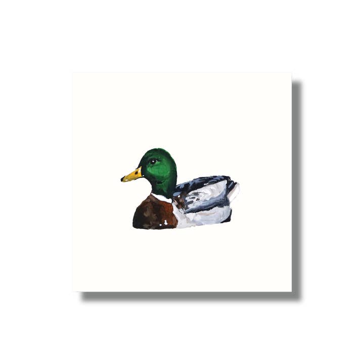 Mallard Fine Art Print for wholesale by Mads Studio & Co.
