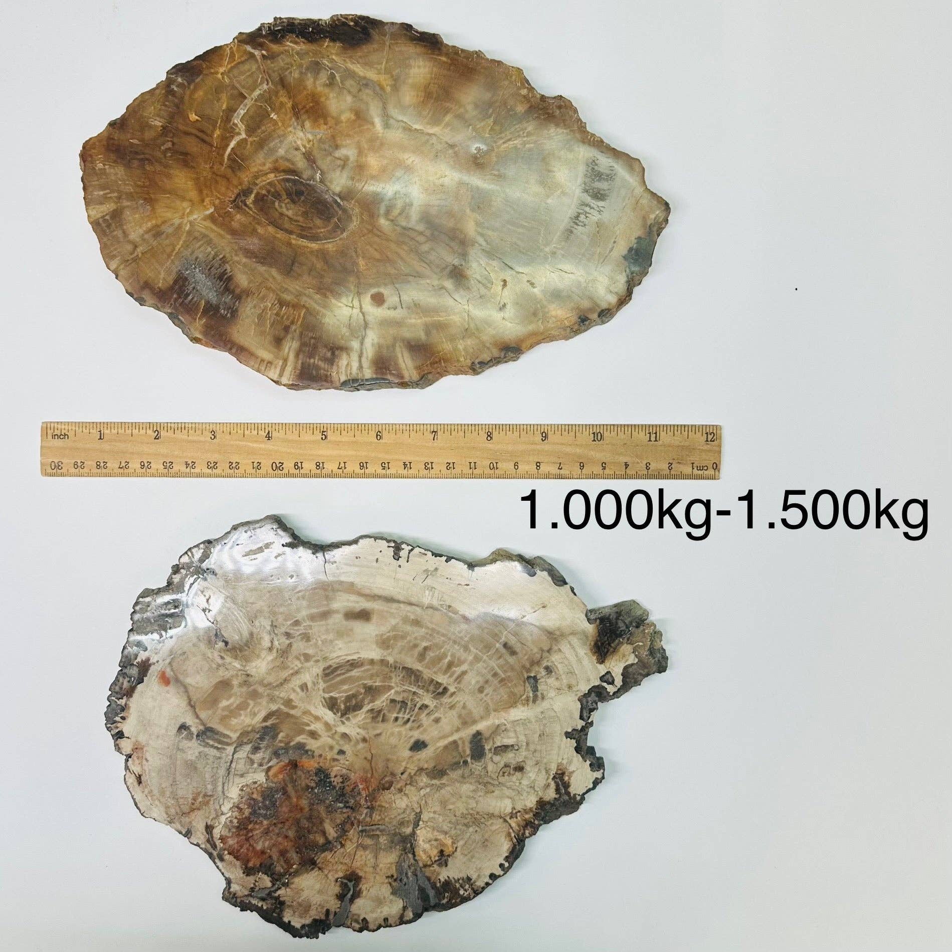 Rock Paradise - Wholesale Spiritual Stone/Crystal - Petrified Wood Slabs2