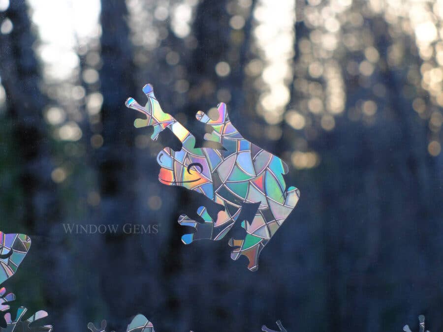 Window Gems – wholesale Solfångare – Grodfönsterdekaler - Regnbågssolfångare - Rädda fåglar!2