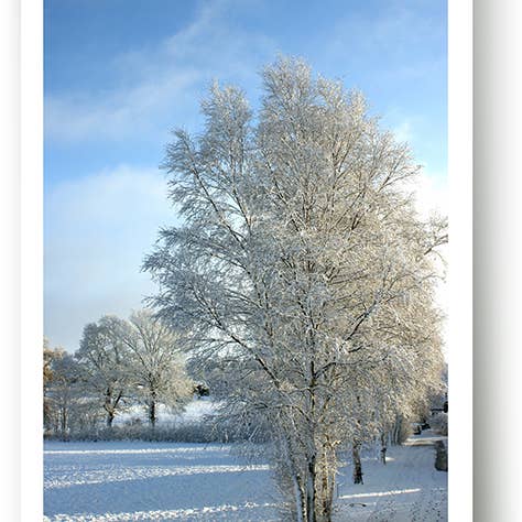 Winter / Grußkarte / 219009 für den Großhandel von Yabué