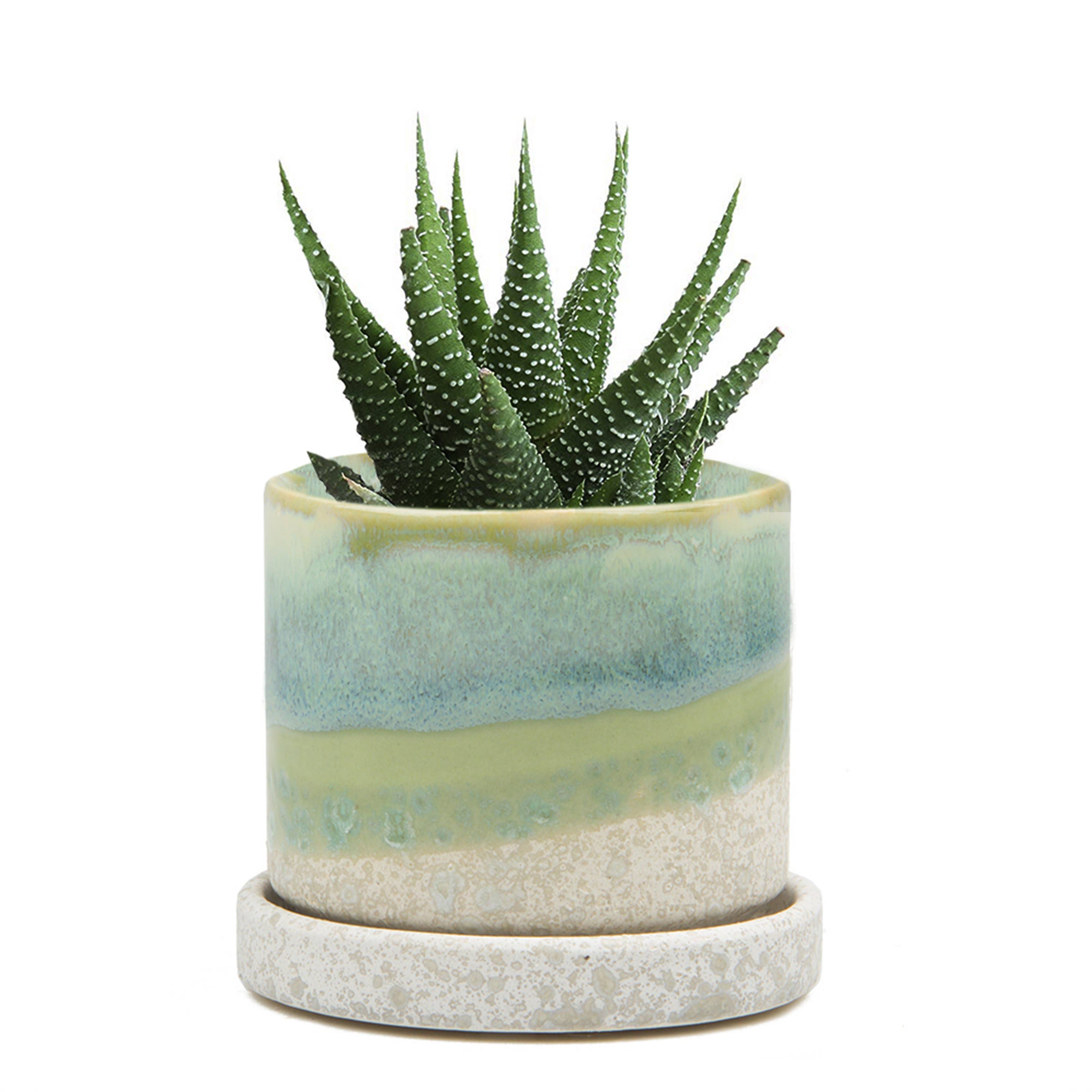 Chive UK - Wholesale Plant Pot - Minute - Glazed Modern Ceramic Pot with Saucer16