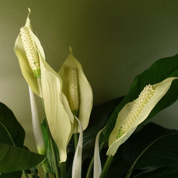 Leaf Design UK LTD - Wholesale Kunstplant - Kunstplant Grote Lelie Vrede Witte Spathiphyllum1