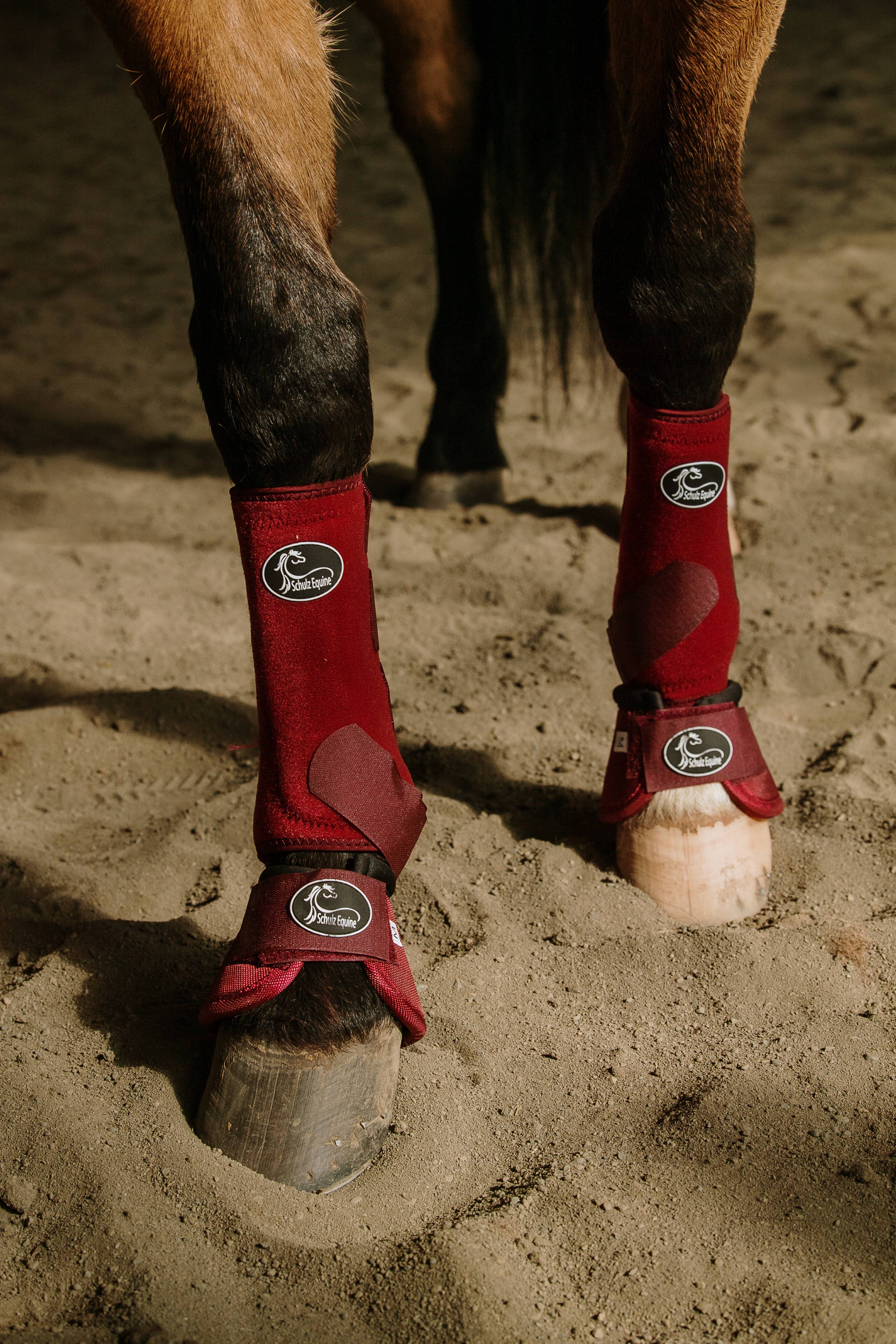 Schulz Equine - Vendita all'ingrosso Attrezzatura da equitazione - Stivali sportivi AirFlow - Confezione da 21