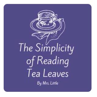 Mrs. Little's Tea and Toys - Wholesale Tea Set - Tea Leaf Reading Kit2