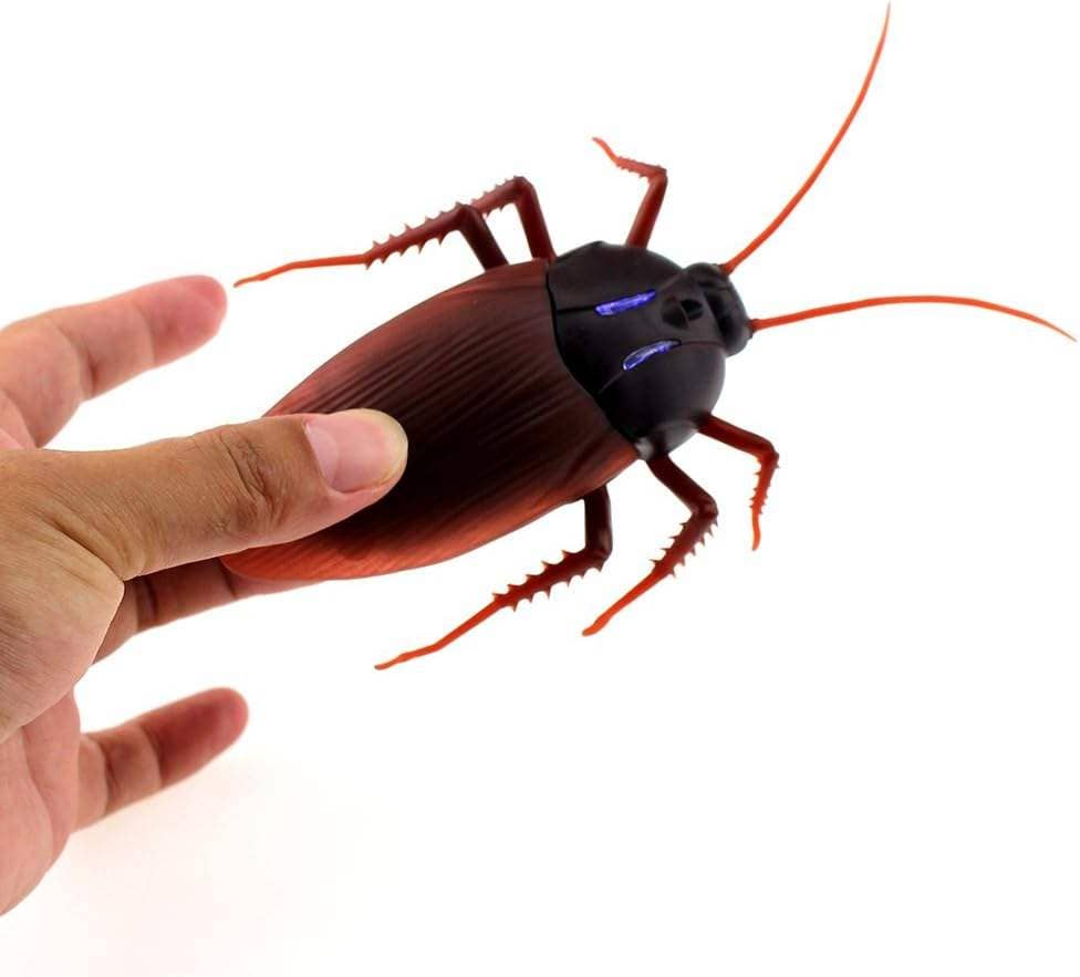 VIGOR - Wholesale Electronic Toy - Kids & Baby - Rockroach Remote Control Car Vehicle Animal Toys7