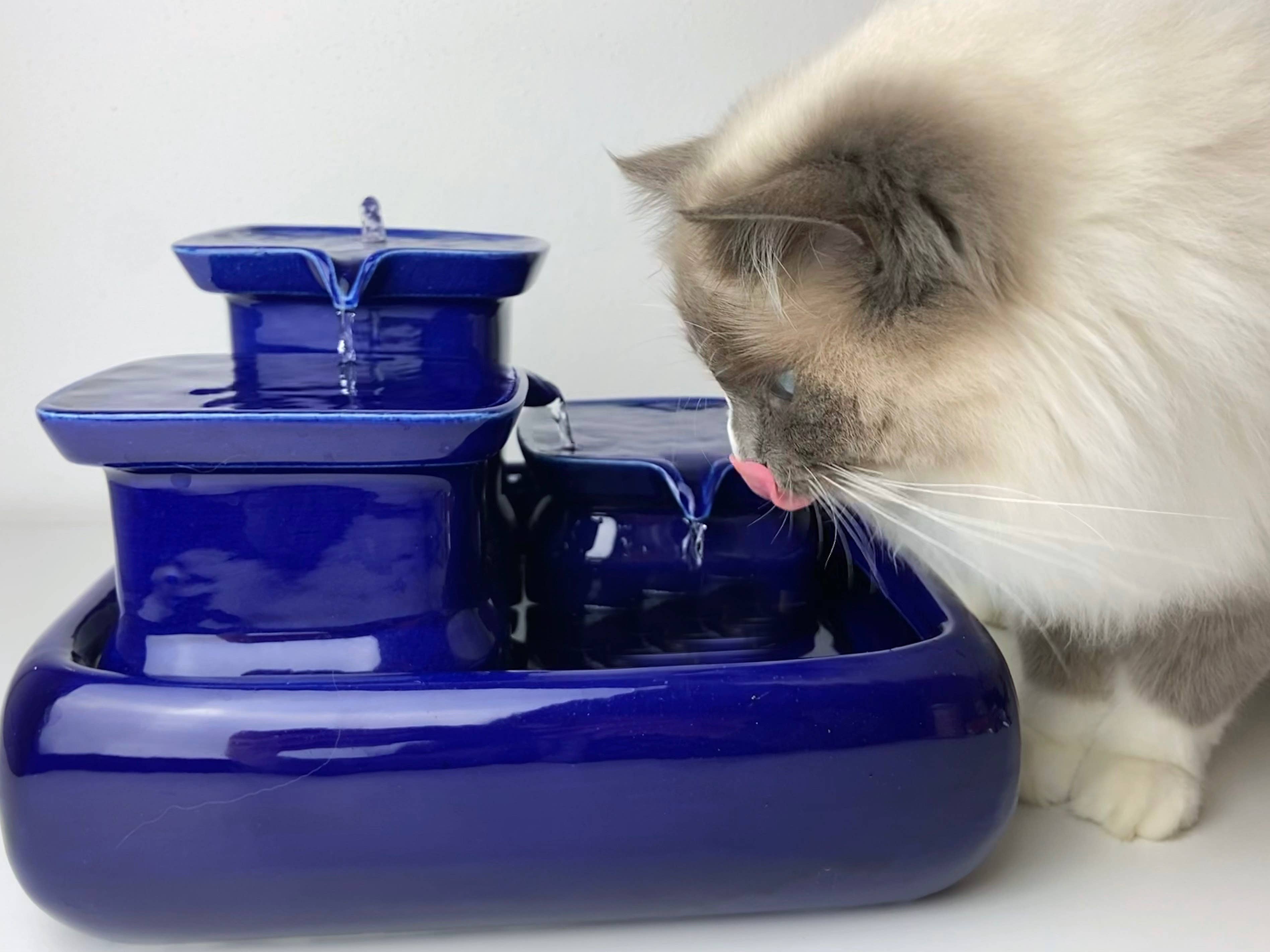 Miaustore – wholesale Pet bowl – Cat/dog – Cat fountain ceramic standard4
