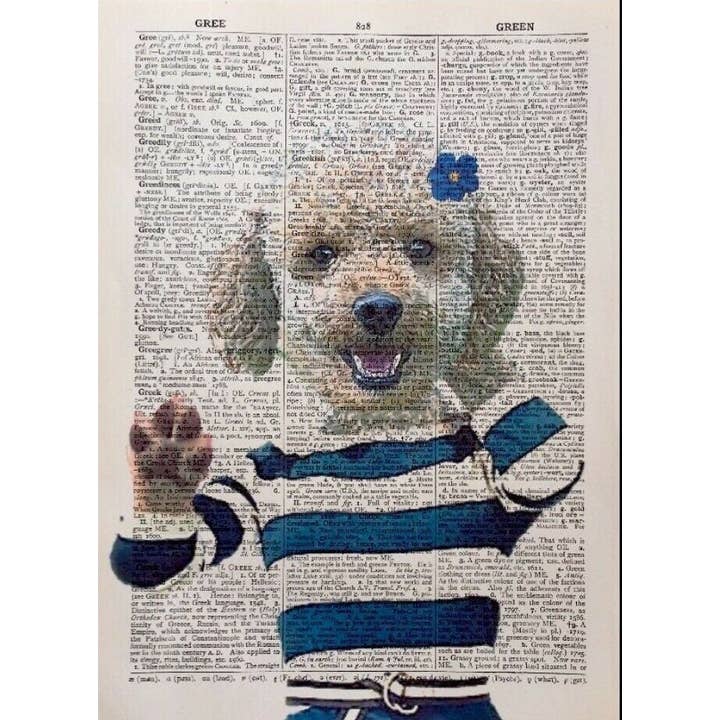 Impressão do dicionário Poodle - Impressão de arte de parede de cachorro peculiar por atacado de Parksmoonprints