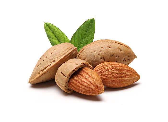 surajee - Wholesale Bath/Body Oil - Organic Almond Oil, Sweet, 50 ml0