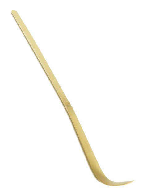 Bamboo Scoop for wholesale by Biotona
