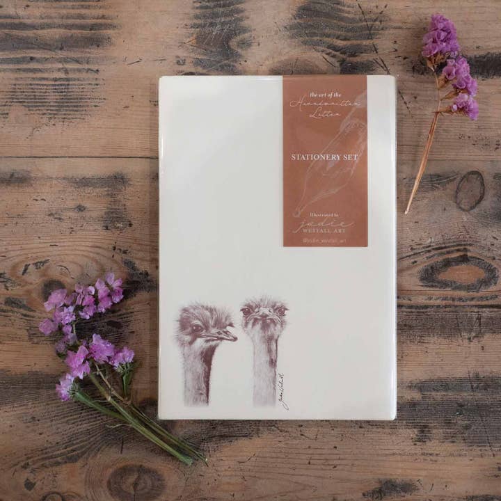 Ostrich - Artist 20 Sheet Stationery Set for wholesale by Jodie Westall Art