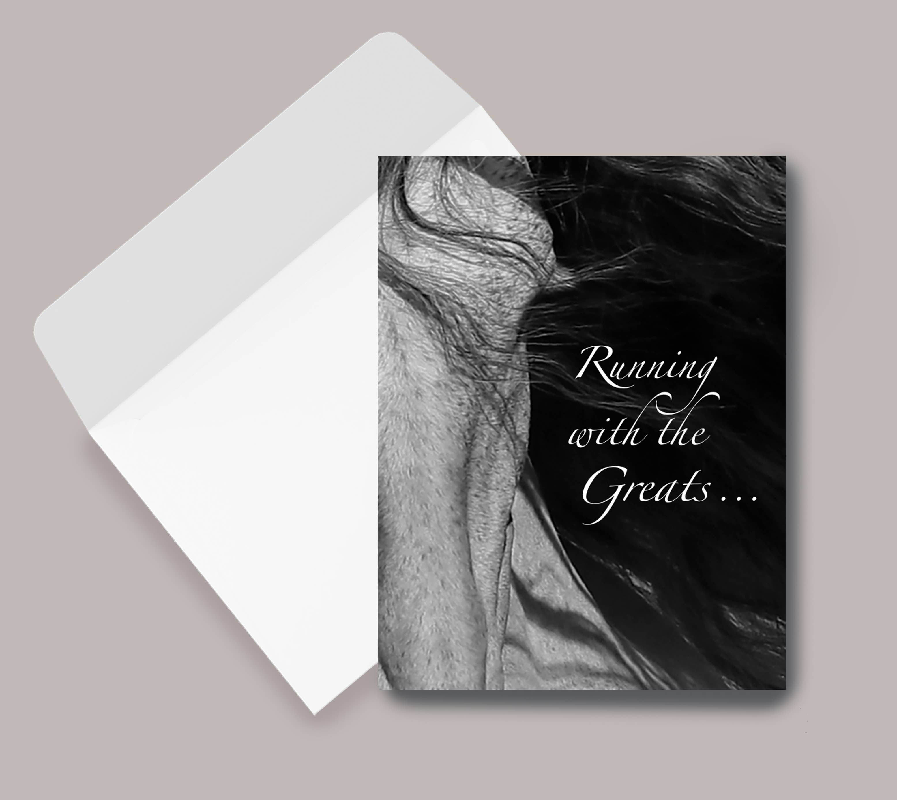 Horse Hollow Press - Wholesale Sympathy Card - Horse Sympathy Greeting Card / Running with the Greats... 9