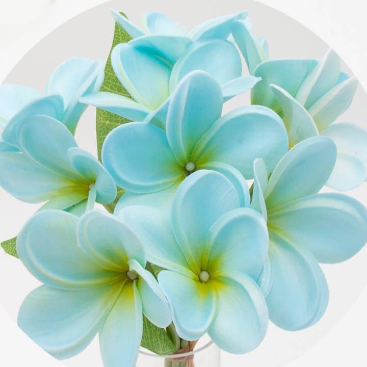 Angel Isabella - Wholesale Artificial flowers - 10Stems Bundle-Ultra Realistic Tropical Plumeria Frangipani7