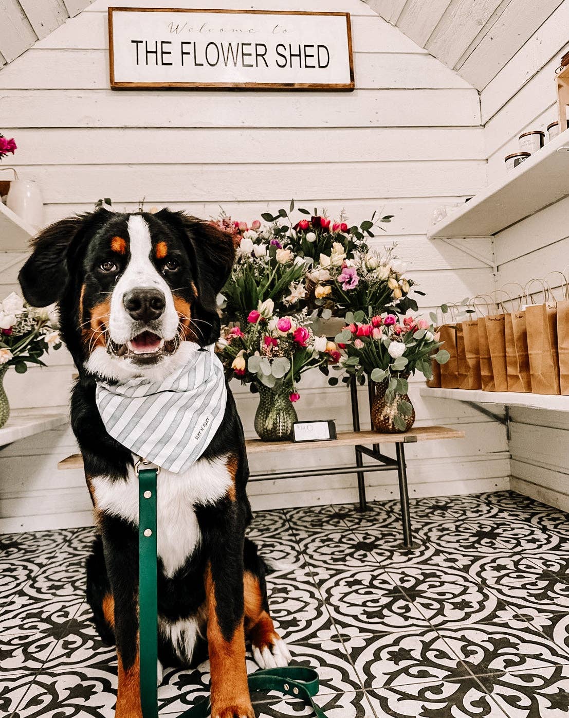 Ruff N' Fluff - Wholesale Pet Leash - Dog - 6 Ft. Adventure Proof Leashes11