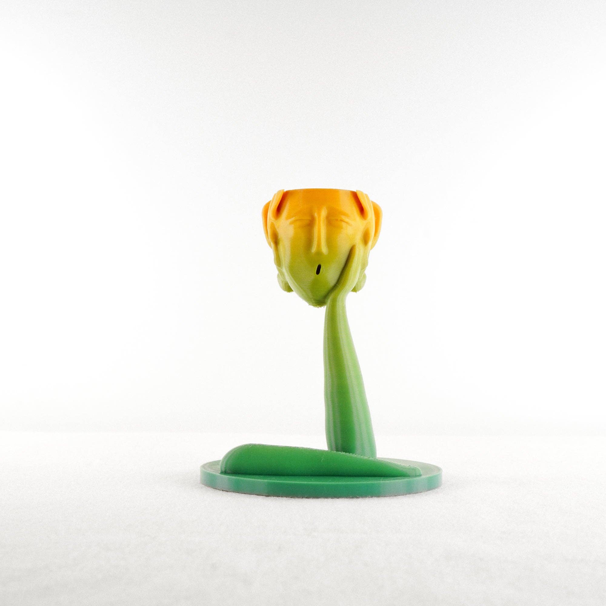 Rosebud Homegoods - Vente Pot - Jardinière Tête Méduse Air8